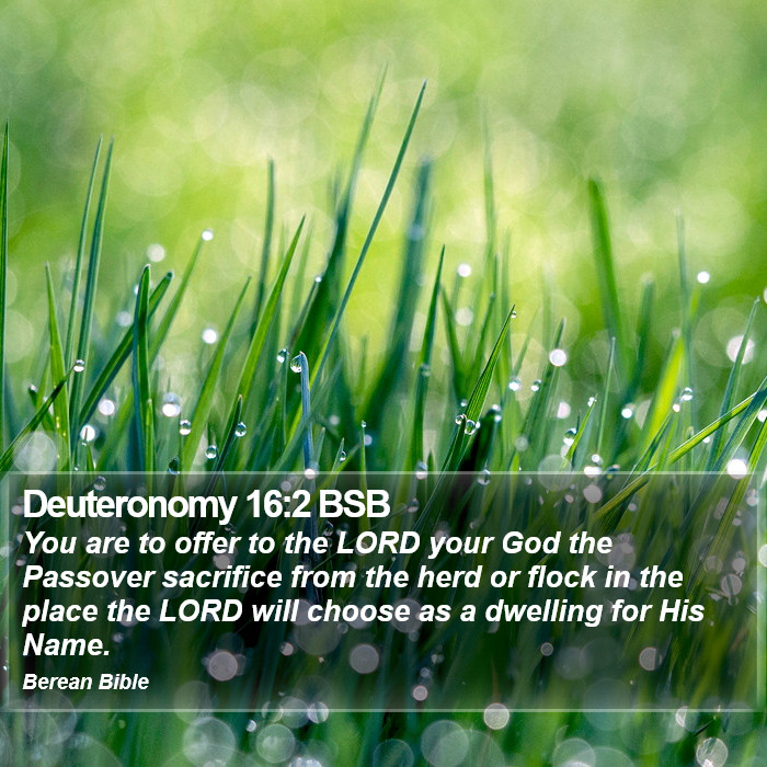 Deuteronomy 16:2 BSB Bible Study