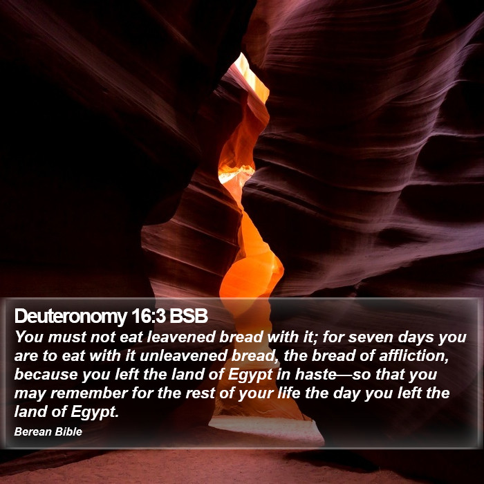 Deuteronomy 16:3 BSB Bible Study