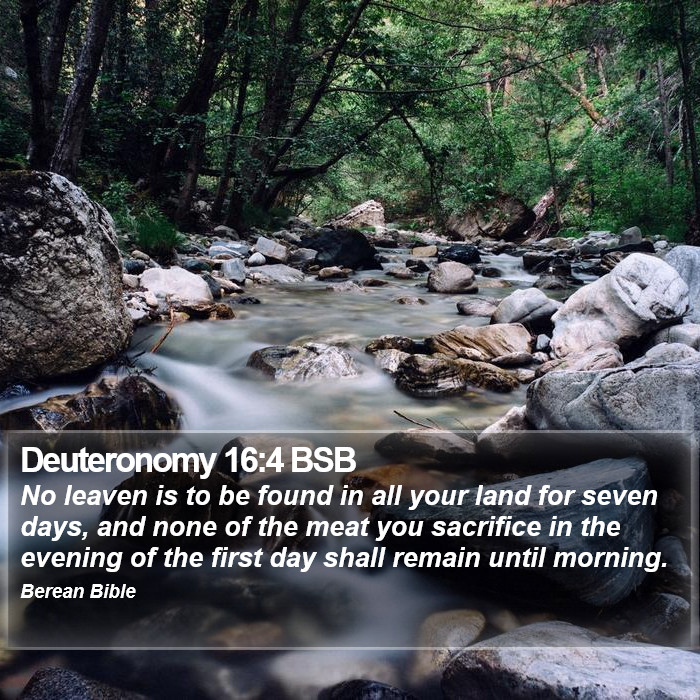 Deuteronomy 16:4 BSB Bible Study