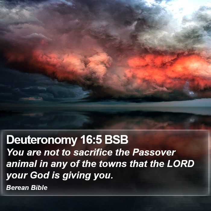 Deuteronomy 16:5 BSB Bible Study