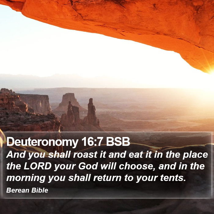 Deuteronomy 16:7 BSB Bible Study