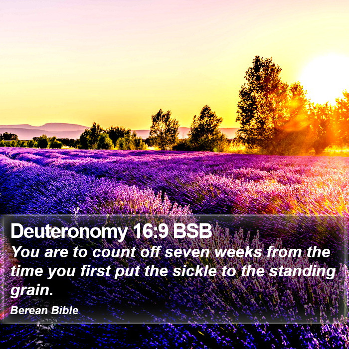 Deuteronomy 16:9 BSB Bible Study