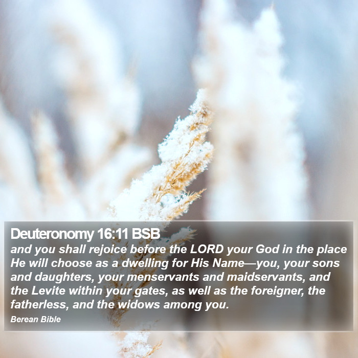 Deuteronomy 16:11 BSB Bible Study