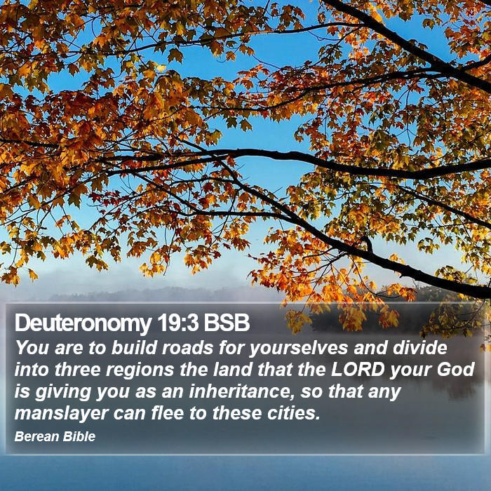 Deuteronomy 19:3 BSB Bible Study