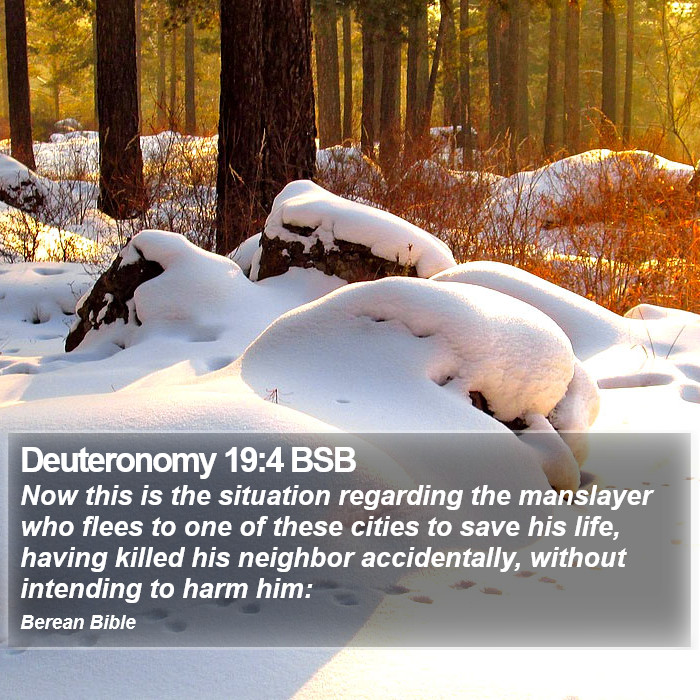 Deuteronomy 19:4 BSB Bible Study