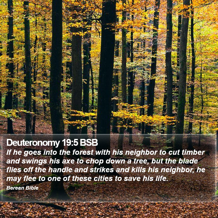 Deuteronomy 19:5 BSB Bible Study