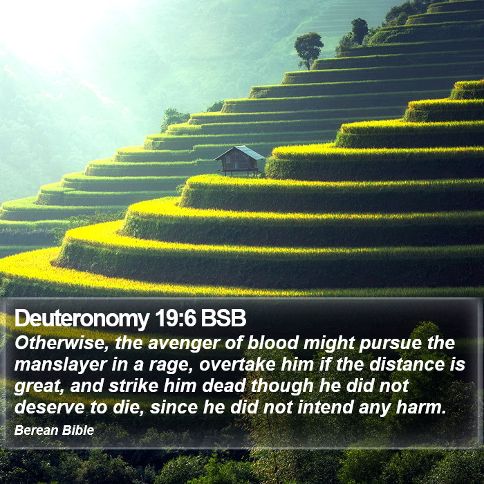 Deuteronomy 19:6 BSB Bible Study