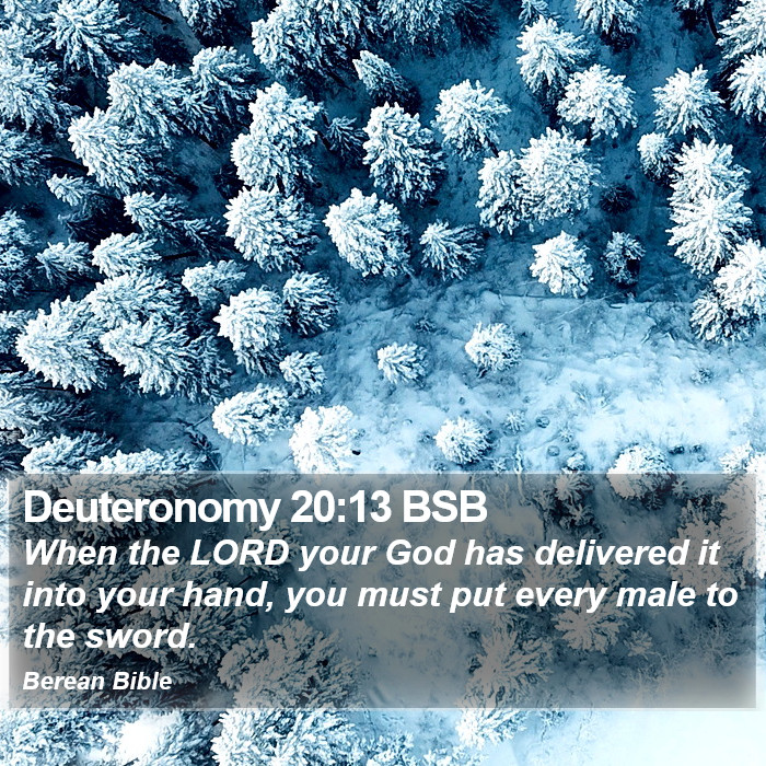 Deuteronomy 20:13 BSB Bible Study