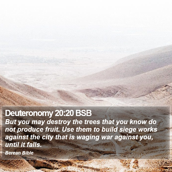 Deuteronomy 20:20 BSB Bible Study