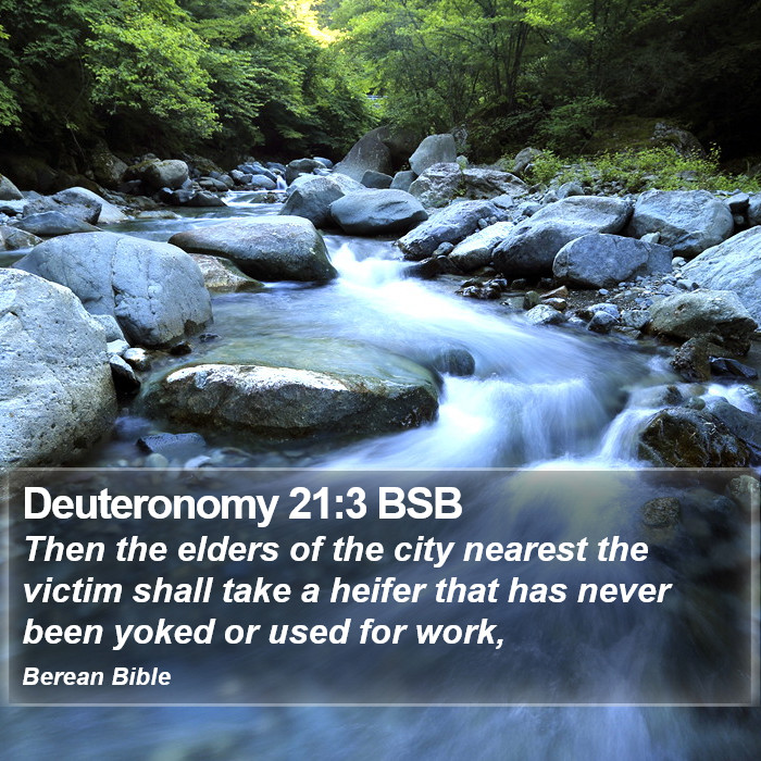 Deuteronomy 21:3 BSB Bible Study