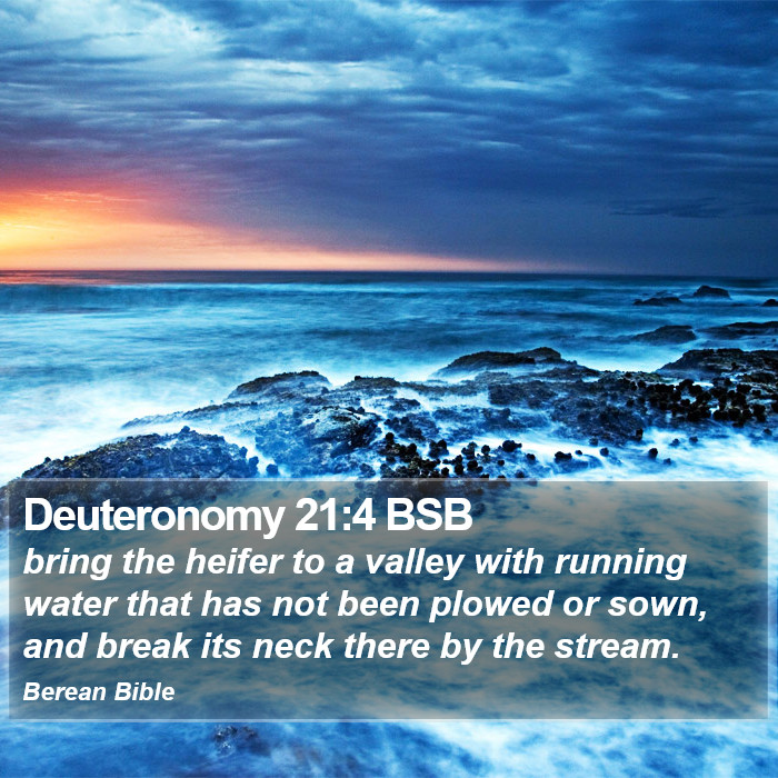 Deuteronomy 21:4 BSB Bible Study