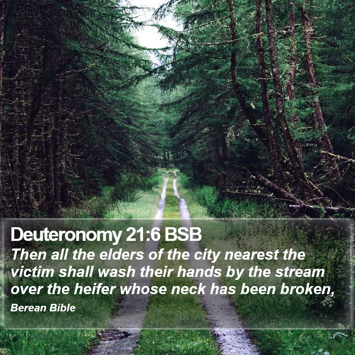 Deuteronomy 21:6 BSB Bible Study