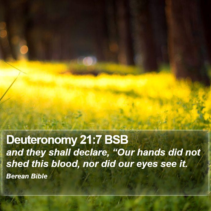 Deuteronomy 21:7 BSB Bible Study