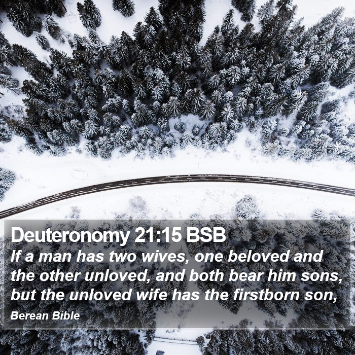 Deuteronomy 21:15 BSB Bible Study