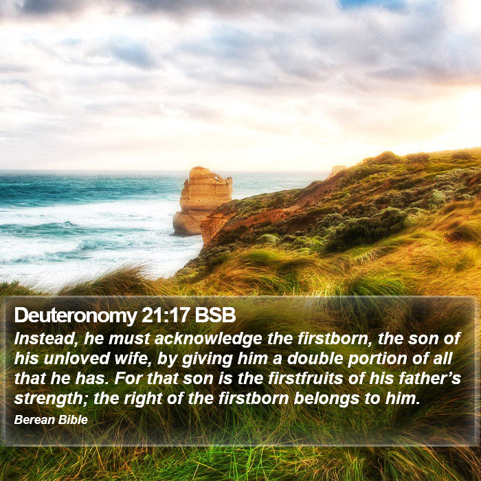 Deuteronomy 21:17 BSB Bible Study