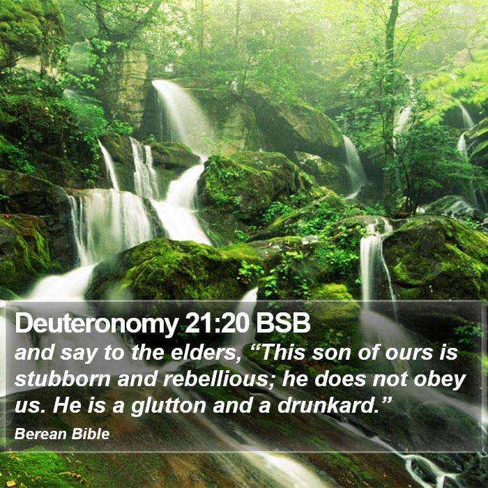 Deuteronomy 21:20 BSB Bible Study