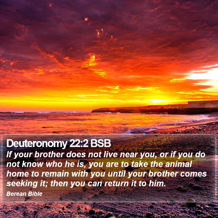 Deuteronomy 22:2 BSB Bible Study