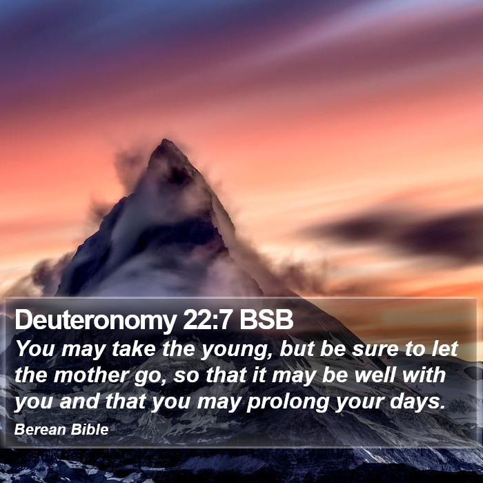 Deuteronomy 22:7 BSB Bible Study