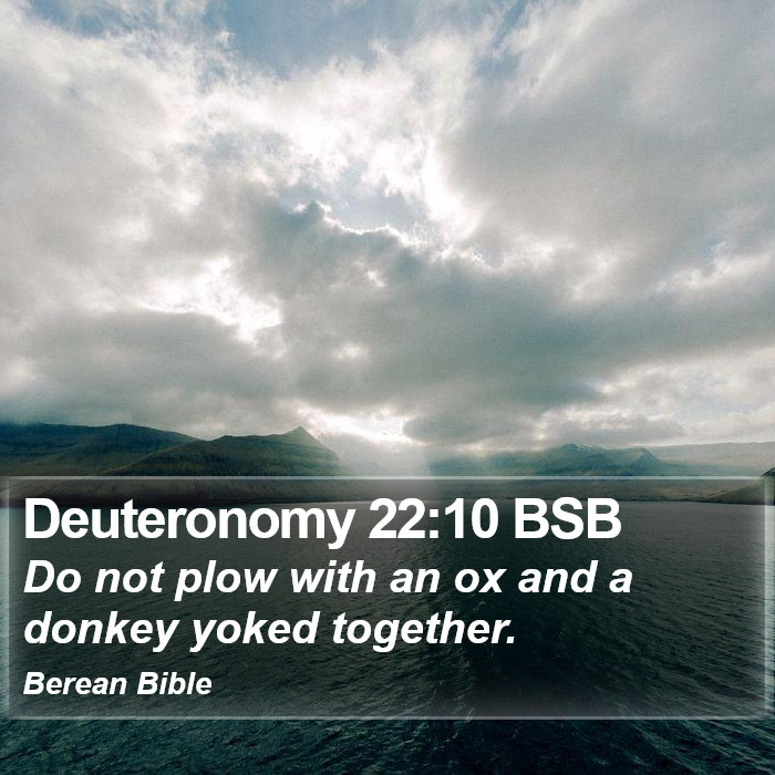 Deuteronomy 22:10 BSB Bible Study