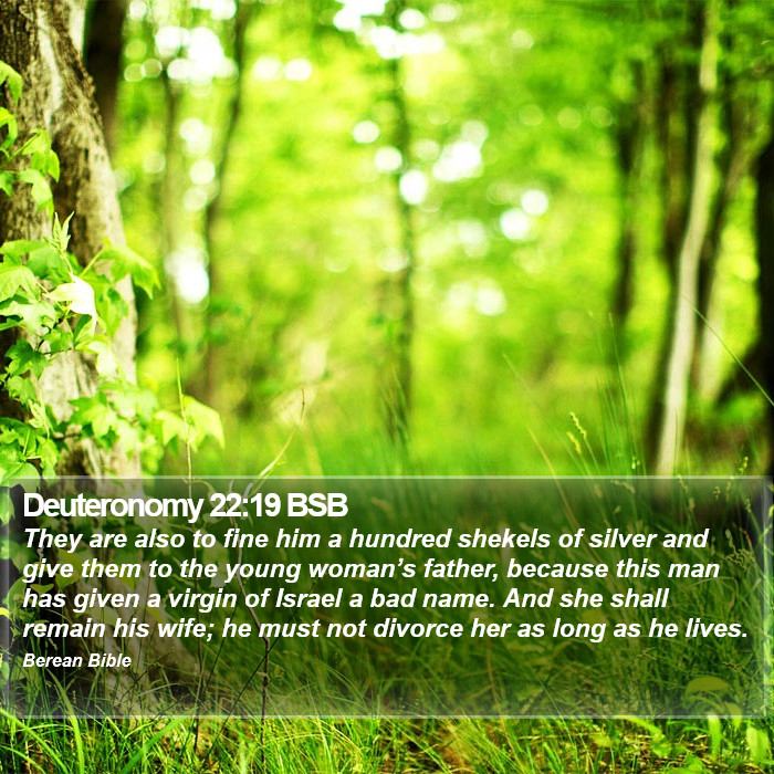 Deuteronomy 22:19 BSB Bible Study