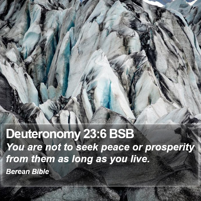 Deuteronomy 23:6 BSB Bible Study