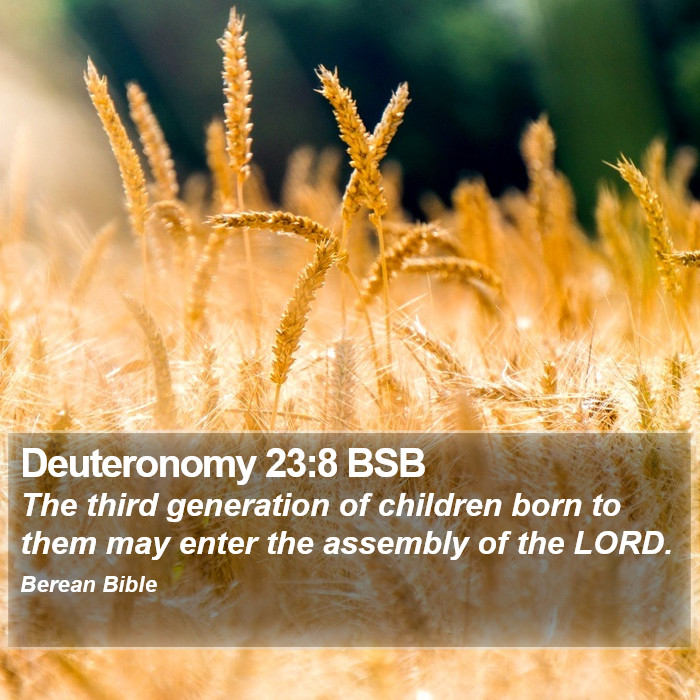 Deuteronomy 23:8 BSB Bible Study