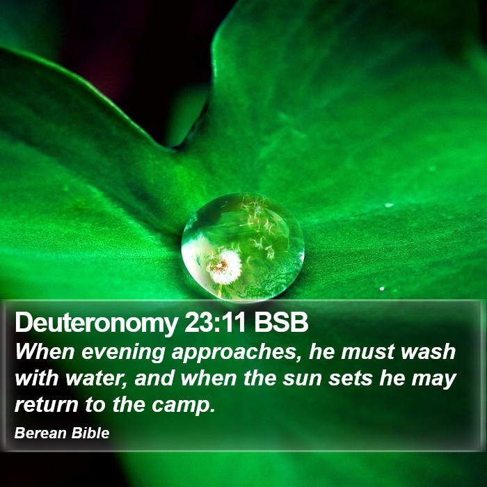 Deuteronomy 23:11 BSB Bible Study