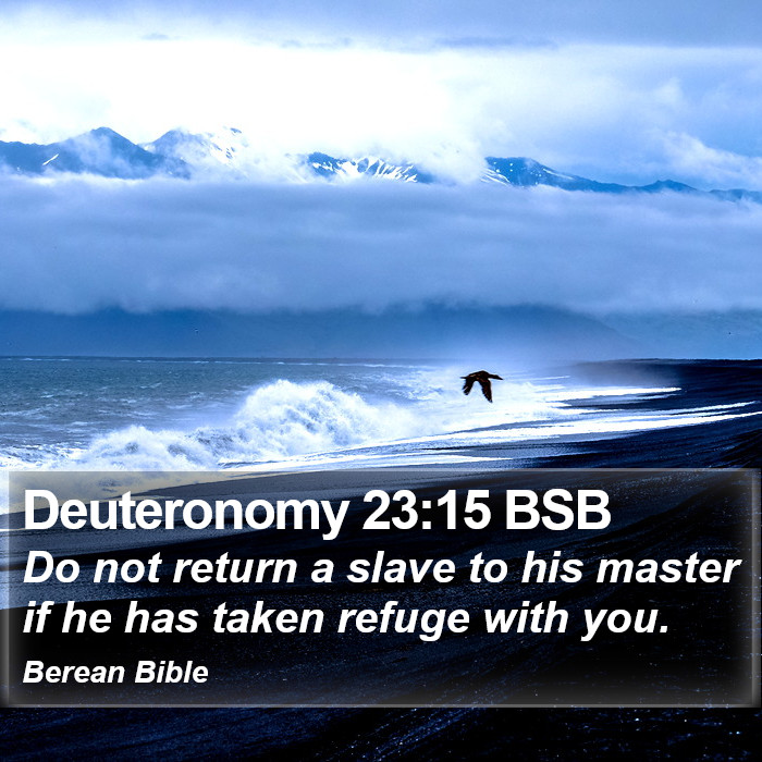 Deuteronomy 23:15 BSB Bible Study