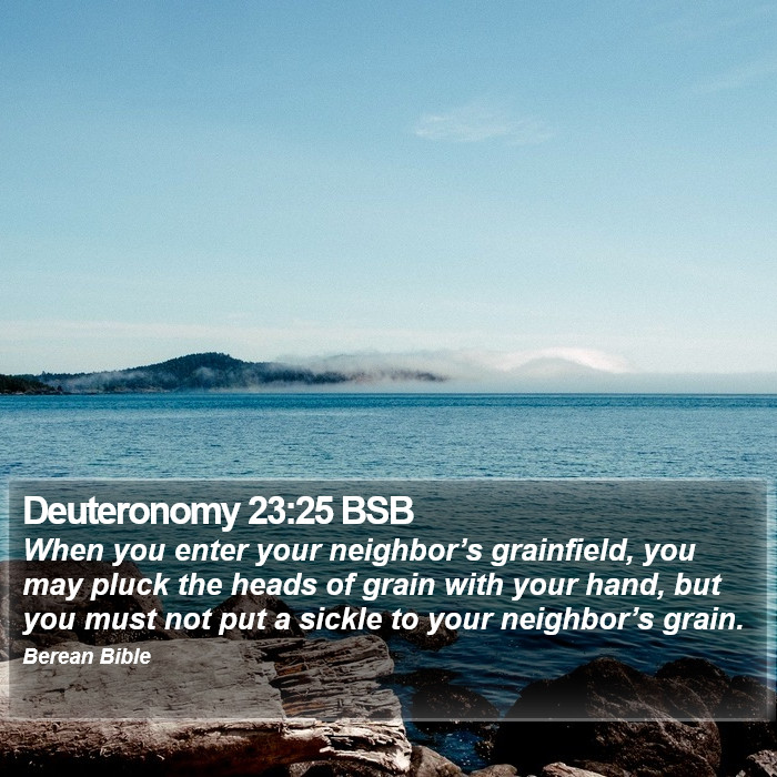 Deuteronomy 23:25 BSB Bible Study