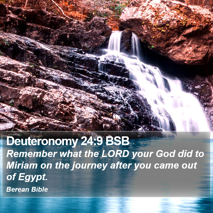 Deuteronomy 24:9 BSB Bible Study