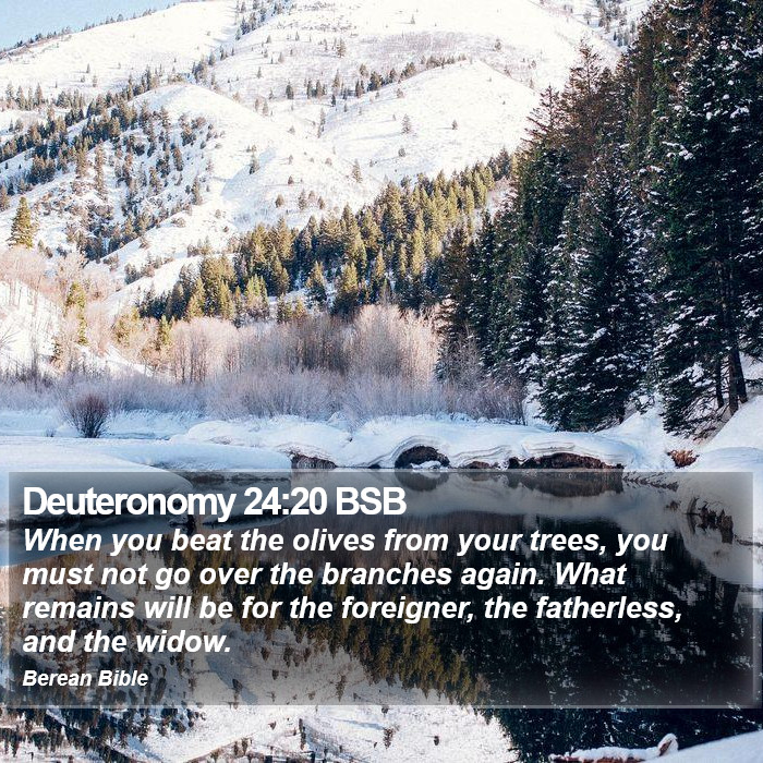 Deuteronomy 24:20 BSB Bible Study