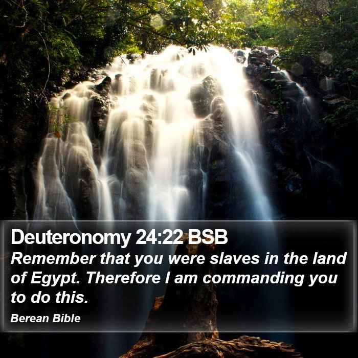 Deuteronomy 24:22 BSB Bible Study