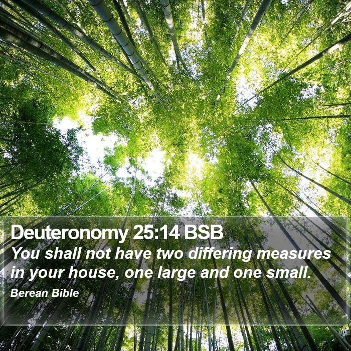 Deuteronomy 25:14 BSB Bible Study