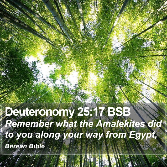 Deuteronomy 25:17 BSB Bible Study