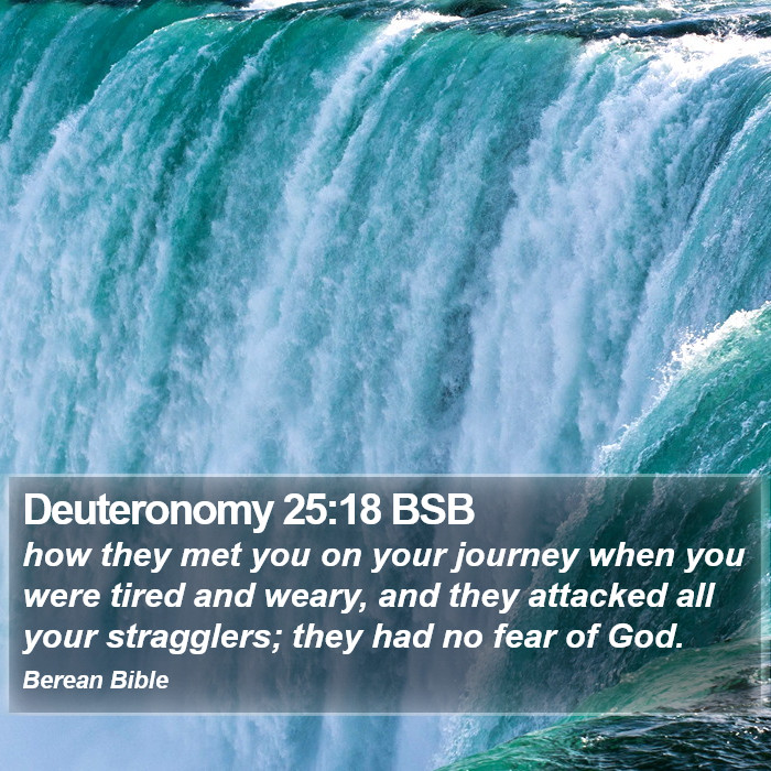 Deuteronomy 25:18 BSB Bible Study