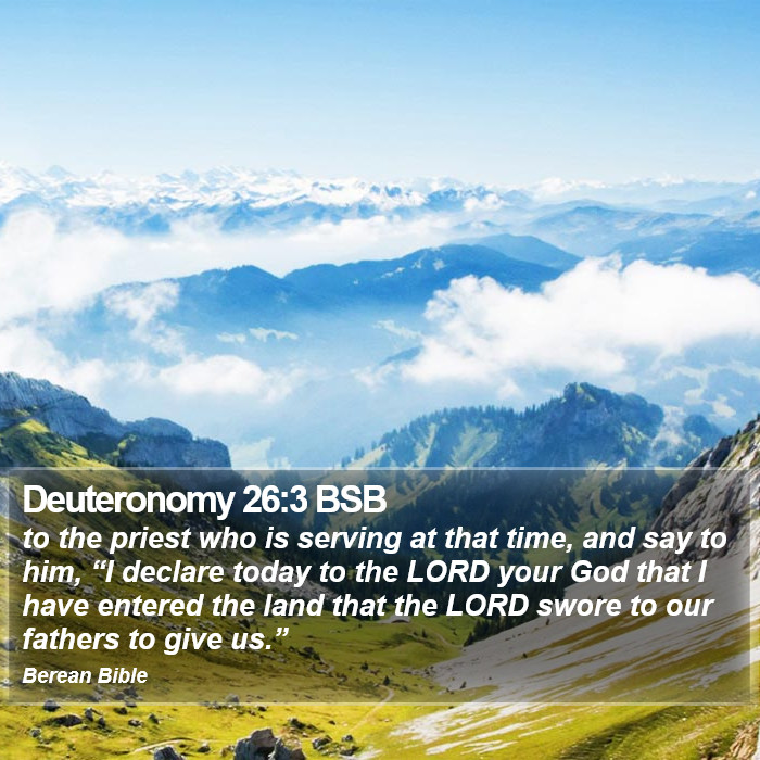 Deuteronomy 26:3 BSB Bible Study