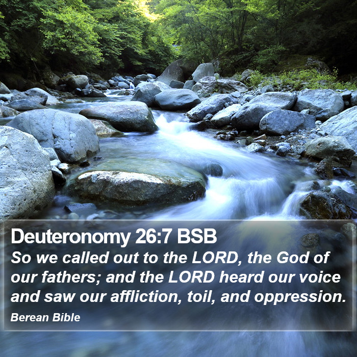 Deuteronomy 26:7 BSB Bible Study