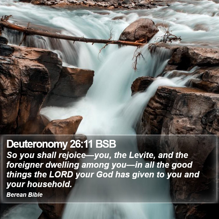 Deuteronomy 26:11 BSB Bible Study