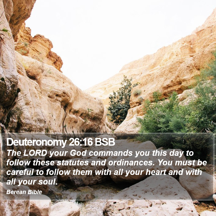 Deuteronomy 26:16 BSB Bible Study