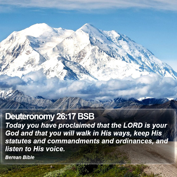 Deuteronomy 26:17 BSB Bible Study