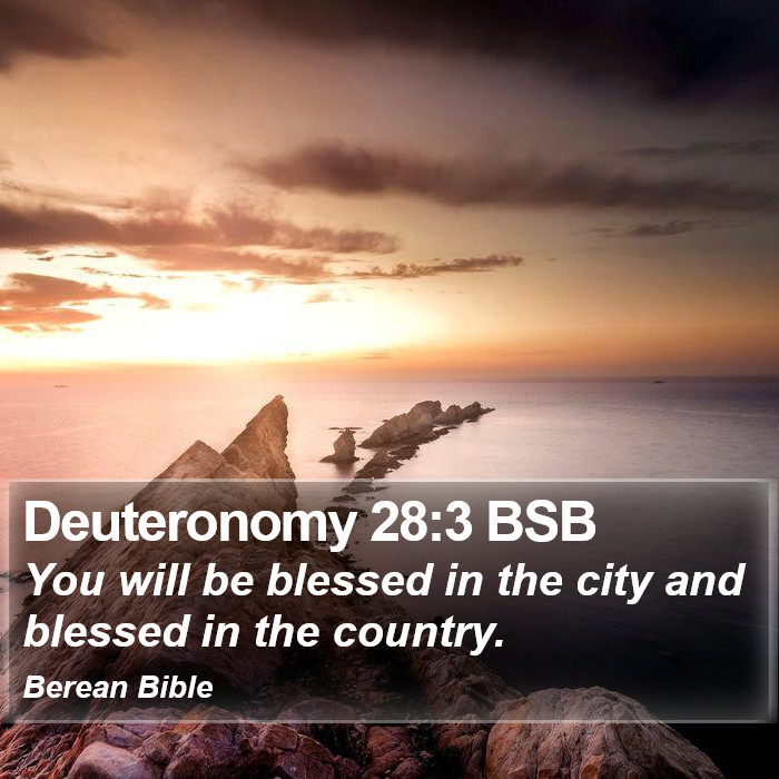 Deuteronomy 28:3 BSB Bible Study