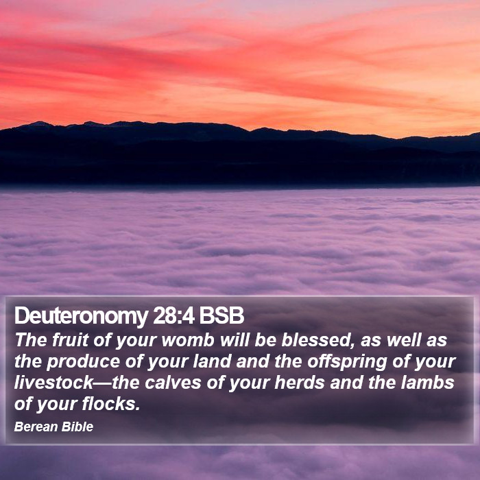 Deuteronomy 28:4 BSB Bible Study