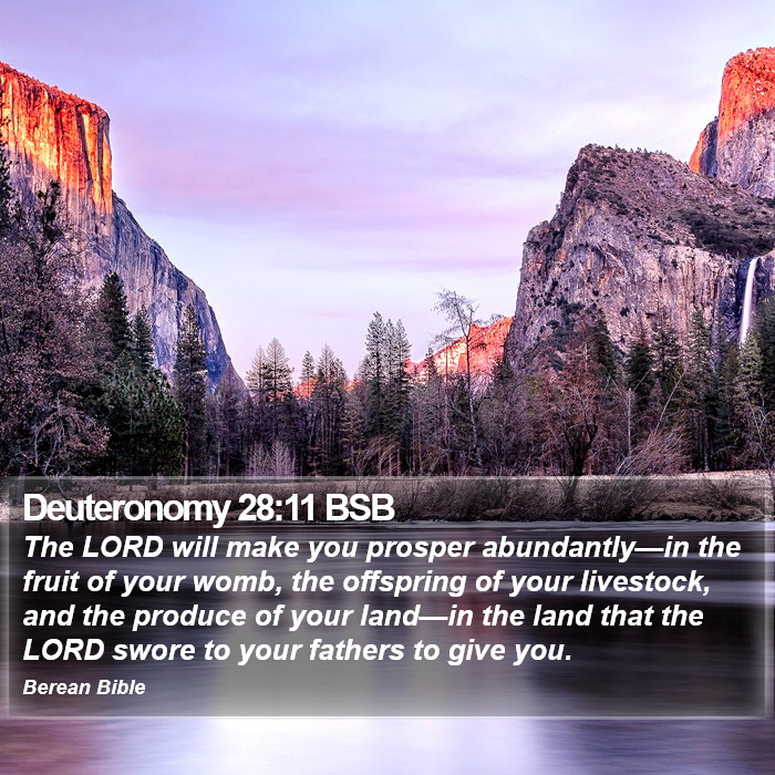 Deuteronomy 28:11 BSB Bible Study