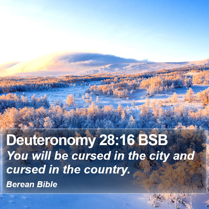 Deuteronomy 28:16 BSB Bible Study