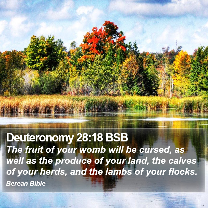 Deuteronomy 28:18 BSB Bible Study