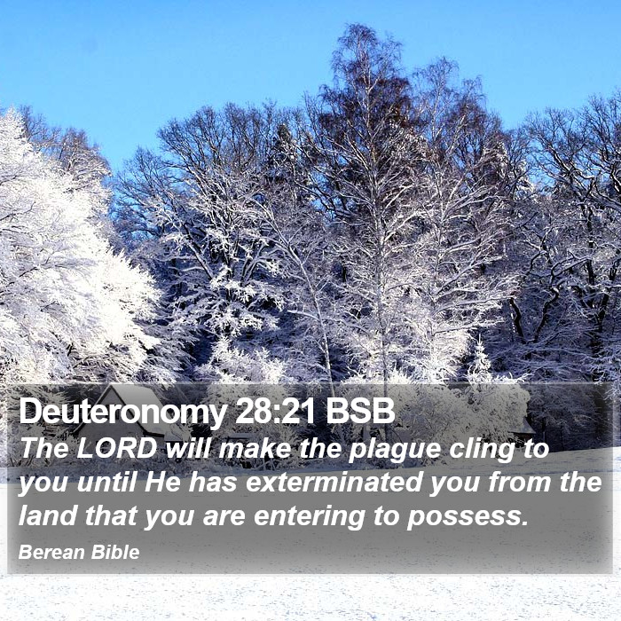 Deuteronomy 28:21 BSB Bible Study