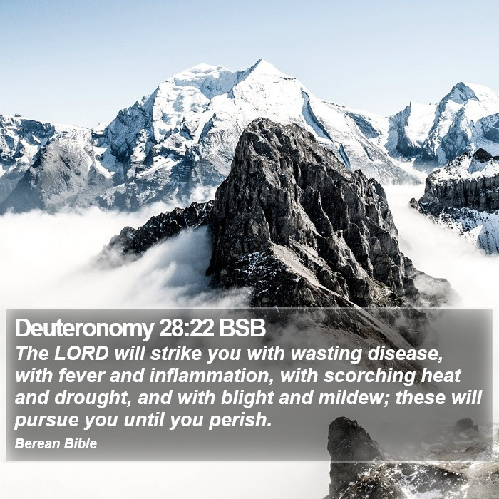 Deuteronomy 28:22 BSB Bible Study