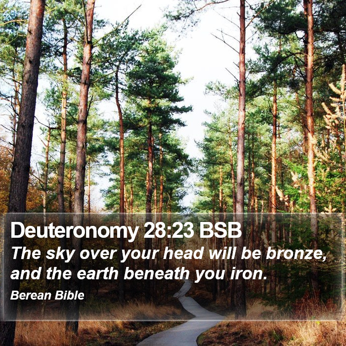 Deuteronomy 28:23 BSB Bible Study