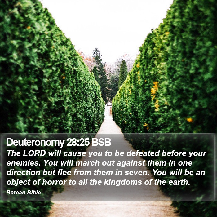 Deuteronomy 28:25 BSB Bible Study