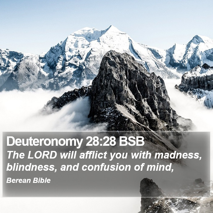 Deuteronomy 28:28 BSB Bible Study